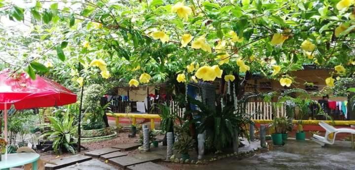 Ennas Place Coron Esterno foto